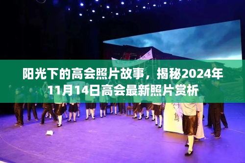 陽(yáng)光下的高會(huì)照片故事，揭秘2024年11月14日高會(huì)最新照片賞析