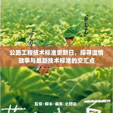 公路工程技術(shù)標準更新日，探尋溫情故事與最新技術(shù)標準的交匯點