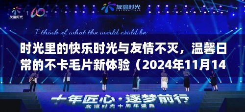 時光里的快樂時光與友情不滅，溫馨日常的不卡毛片新體驗（2024年11月14日）