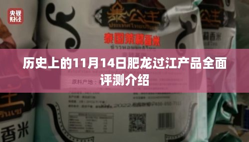 歷史上的11月14日肥龍過江產(chǎn)品全面評測介紹