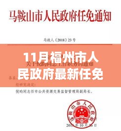 福州市政府人事大調(diào)整，最新任免引發(fā)聚焦與熱議