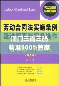 澳門三肖三碼精準100%管家婆,精妙解答解釋落實_BDW9.30.45方案版