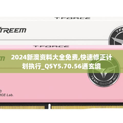 2024新澳資料大全免費,快速修正計劃執(zhí)行_QSY5.70.56通玄境