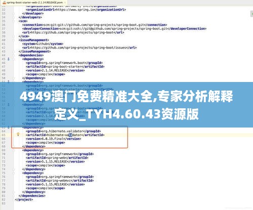 4949澳門免費(fèi)精準(zhǔn)大全,專家分析解釋定義_TYH4.60.43資源版