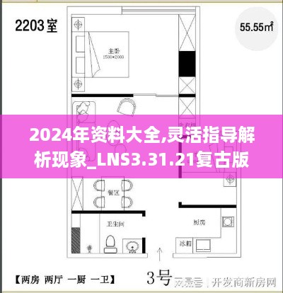 2024年資料大全,靈活指導(dǎo)解析現(xiàn)象_LNS3.31.21復(fù)古版