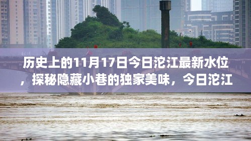 今日沱江最新水位