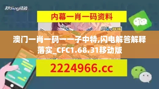 澳門一肖一碼一一子中特,閃電解答解釋落實_CFC1.68.31移動版