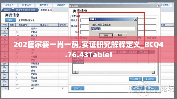 202管家婆一肖一碼,實證研究解釋定義_BCQ4.76.43Tablet