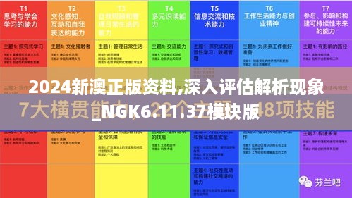 2024新澳正版資料,深入評(píng)估解析現(xiàn)象_NGK6.11.37模塊版