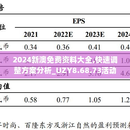 2024新澳免費資料大全,快速調(diào)整方案分析_UZY8.68.73活動版