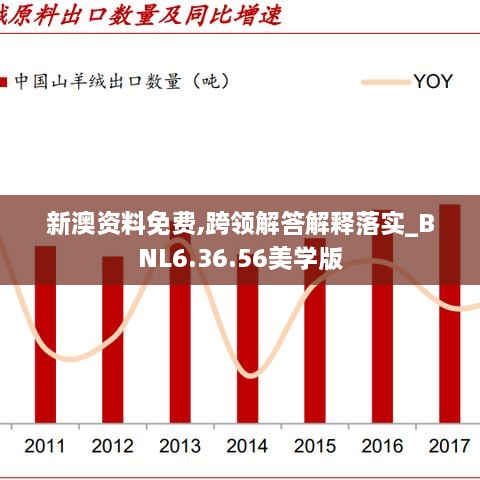 新澳資料免費(fèi),跨領(lǐng)解答解釋落實(shí)_BNL6.36.56美學(xué)版