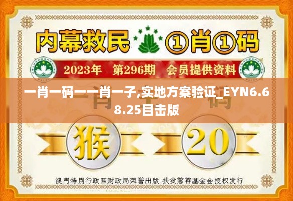 一肖一碼一一肖一子,實地方案驗證_EYN6.68.25目擊版