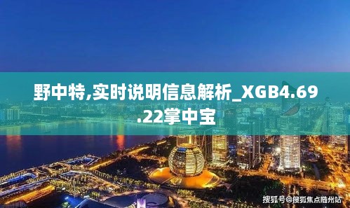 野中特,實時說明信息解析_XGB4.69.22掌中寶