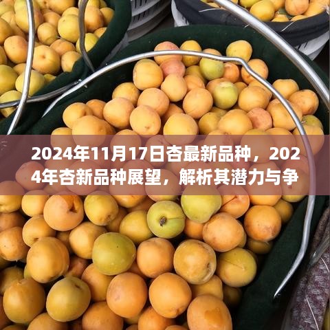 2024年杏新品種展望，解析潛力與爭(zhēng)議