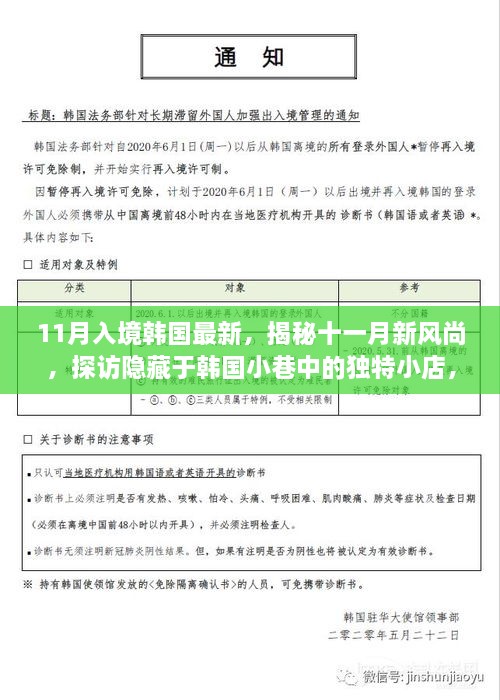 揭秘韓國十一月新風(fēng)尚，獨(dú)特小店與別樣風(fēng)情探訪指南