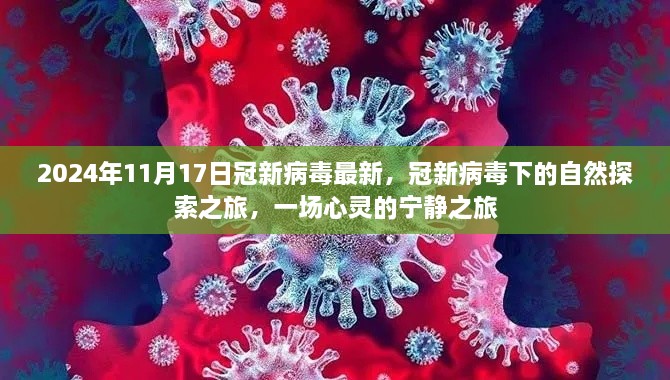 冠新病毒下的自然探索之旅，心靈寧靜之旅的啟程