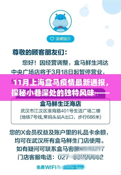 探秘上海盒馬疫情下的小巷風情與小店奇遇