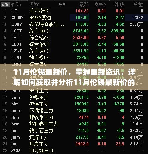 11月倫錫最新價指南，掌握資訊與解析步驟