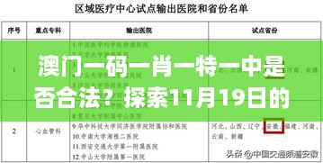 澳門(mén)一碼一肖一特一中是否合法？探索11月19日的解答與執(zhí)行_IAK7.61.23神念境