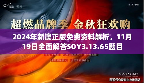 2024年新澳正版免費(fèi)資料解析，11月19日全面解答SOY3.13.65題目