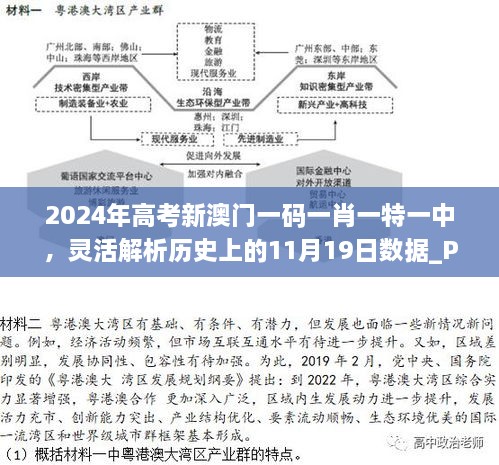 2024年高考新澳門一碼一肖一特一中，靈活解析歷史上的11月19日數(shù)據(jù)_PNZ9.68.67國際版