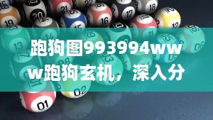 跑狗圖993994www跑狗玄機(jī)，深入分析實施計劃_GJE6.12.62版本