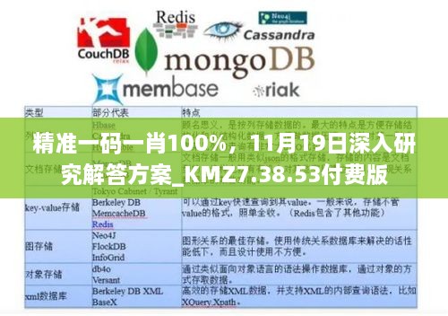 精準(zhǔn)一碼一肖100%，11月19日深入研究解答方案_KMZ7.38.53付費(fèi)版