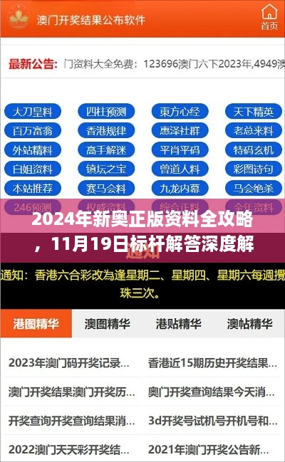 2024年新奧正版資料全攻略，11月19日標(biāo)桿解答深度解析_LKE7.45.47無限版