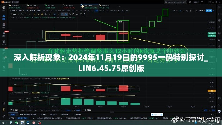 深入解析現(xiàn)象：2024年11月19日的9995一碼特別探討_LIN6.45.75原創(chuàng)版