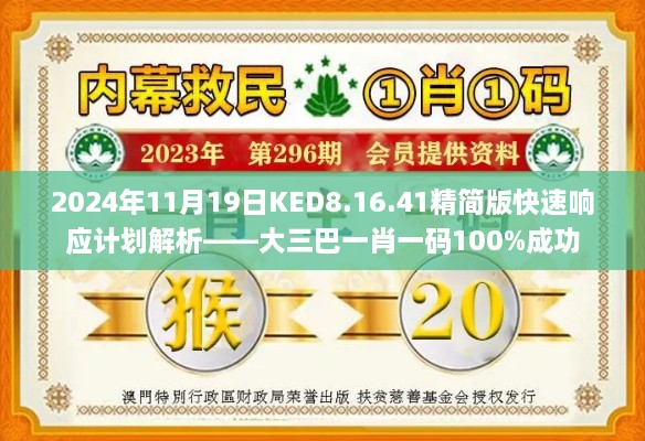 2024年11月19日KED8.16.41精簡版快速響應計劃解析——大三巴一肖一碼100%成功