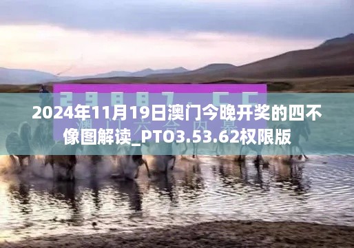 2024年11月19日澳門今晚開獎(jiǎng)的四不像圖解讀_PTO3.53.62權(quán)限版