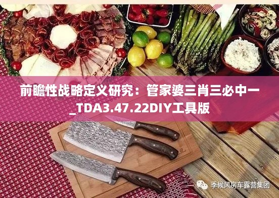 前瞻性戰(zhàn)略定義研究：管家婆三肖三必中一_TDA3.47.22DIY工具版