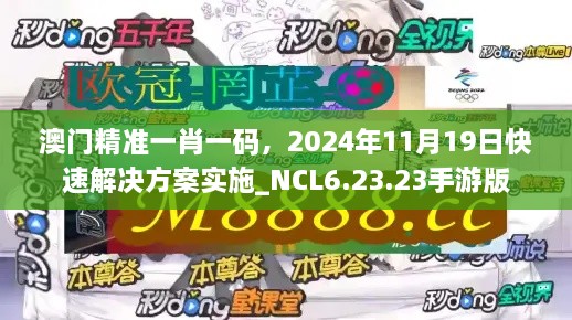 澳門精準(zhǔn)一肖一碼，2024年11月19日快速解決方案實(shí)施_NCL6.23.23手游版