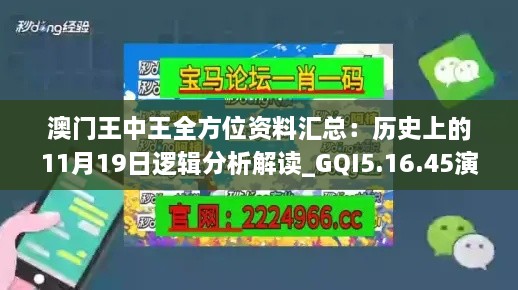 澳門(mén)王中王全方位資料匯總：歷史上的11月19日邏輯分析解讀_GQI5.16.45演講版