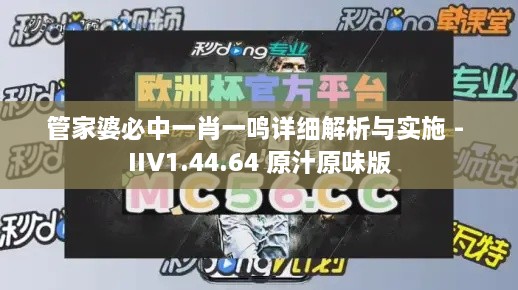 管家婆必中一肖一鳴詳細解析與實施 - IIV1.44.64 原汁原味版