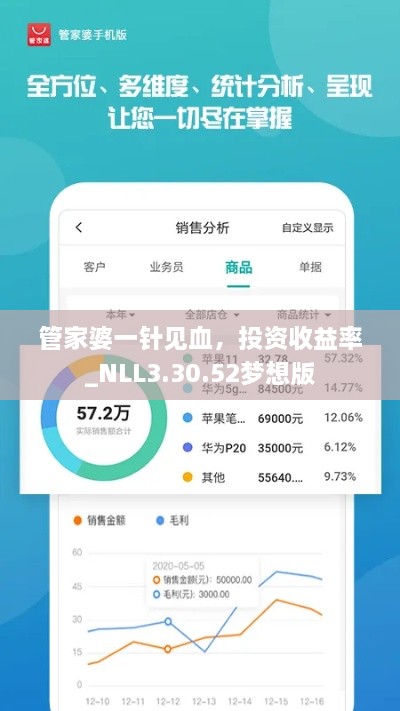 管家婆一針見血，投資收益率_NLL3.30.52夢(mèng)想版