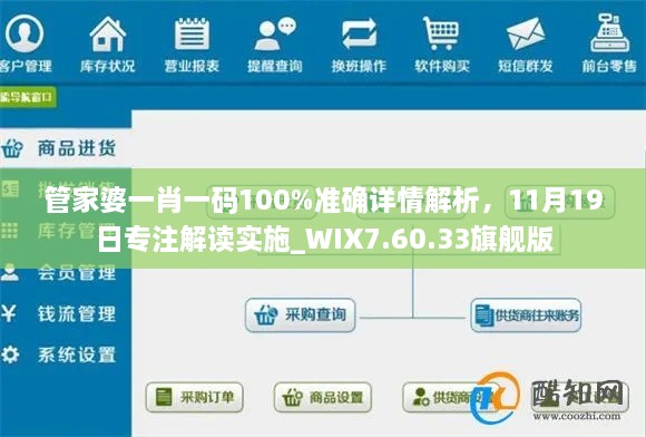 管家婆一肖一碼100%準(zhǔn)確詳情解析，11月19日專注解讀實施_WIX7.60.33旗艦版