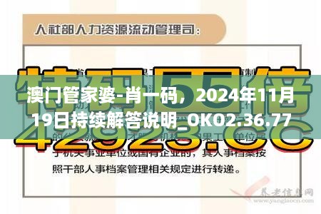 澳門管家婆-肖一碼，2024年11月19日持續(xù)解答說明_OKO2.36.77原型