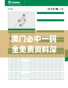 澳門必中一碼全免費(fèi)資料深度解析，11月19日數(shù)據(jù)分析_VEU9.53.59極限版