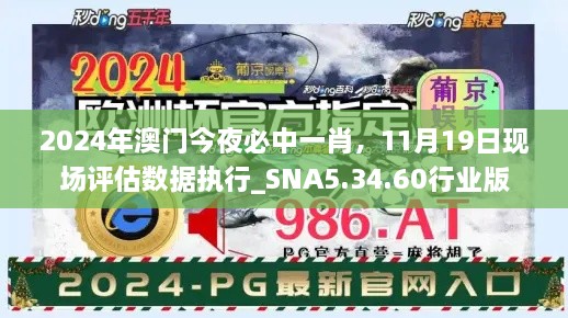 2024年澳門(mén)今夜必中一肖，11月19日現(xiàn)場(chǎng)評(píng)估數(shù)據(jù)執(zhí)行_SNA5.34.60行業(yè)版