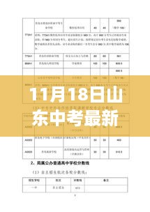 山東中考最新動態(tài)，11月18日深刻影響與回顧