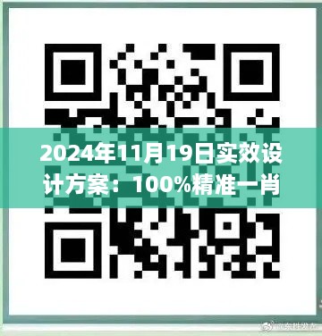 2024年11月19日實(shí)效設(shè)計(jì)方案：100%精準(zhǔn)一肖一碼軟件_BAS2.25.77無線版