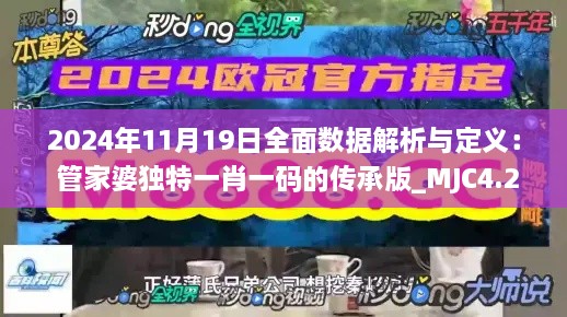 2024年11月19日全面數(shù)據(jù)解析與定義： 管家婆獨特一肖一碼的傳承版_MJC4.26.58