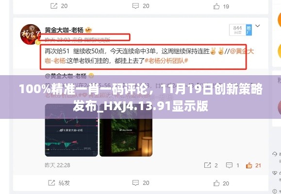 100%精準(zhǔn)一肖一碼評論，11月19日創(chuàng)新策略發(fā)布_HXJ4.13.91顯示版