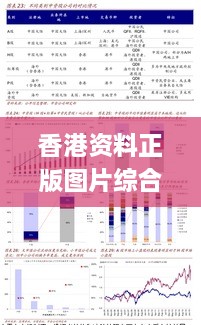 香港資料正版圖片綜合分析：往年11月19日現(xiàn)象的定義與解讀_NIR5.53.93復(fù)興版