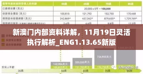 新澳門內(nèi)部資料詳解，11月19日靈活執(zhí)行解析_ENG1.13.65新版