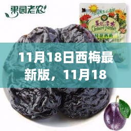 11月18日西梅最新版深度解析，優(yōu)勢與挑戰(zhàn)一覽