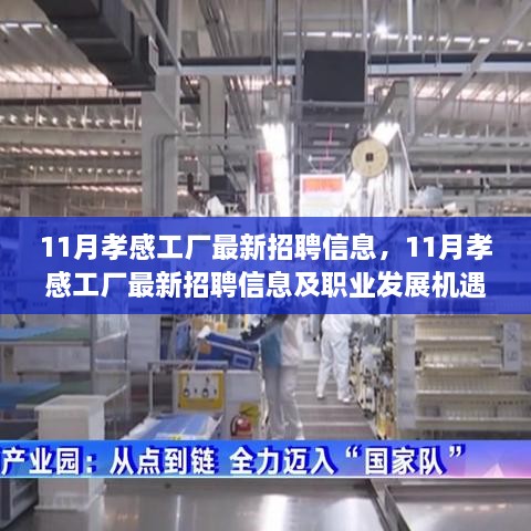 11月孝感工廠最新招聘信息及職業(yè)發(fā)展機遇解析