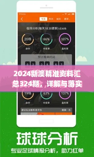 2024新澳精準(zhǔn)資料匯總324期，詳解與落實(shí)_JZF8.41.71旗艦版