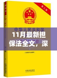 深度解讀，最新?lián)７ㄗ兏锱c權(quán)益保障解析